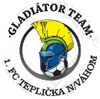 OFK Teplicka nad Vahom Logo