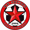 Zvezda St Petersburg Logo
