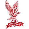 Navbahor Namangan Logo