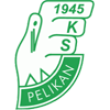 Pelikan Lowicz Logo