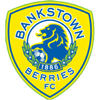 Canterbury Bankstown FC Logo