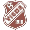 Vigor Logo
