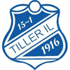 Tiller Logo