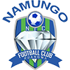 Namungo FC Logo