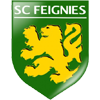 Feignies Aulnoye FC Logo
