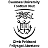 Swansea University Logo