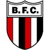 Botafogo SP B Logo