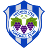 Tochigi City Logo
