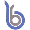 Bayburt Ozel Idare SK Logo