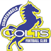 Cumbernauld Colts Logo