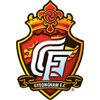 Gyeongnam FC Logo