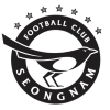Seongnam FC Logo