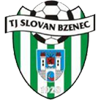 Bzenec Logo
