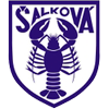 FK Salkova Logo