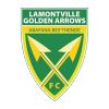 Golden Arrows Logo
