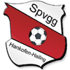 SpVgg Hankofen-Hailing Logo