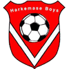 Harkemase Boys Logo