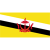 Brunei Logo