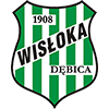 Wisloka Debica Logo