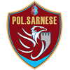 Sarnese Logo