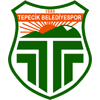 Buyukcekmece Tepecikspor Logo