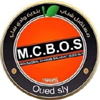 MCB Oued Sly Logo