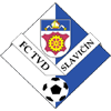 Slavicin Logo