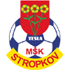 MSK Tesla Stropkov Logo