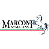 Marconi Stallions Logo