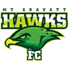 Mount Gravatt Hawks Logo