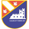 Caldicot Town Logo
