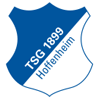 TSG Hoffenheim Logo