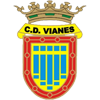 CA Vianes Logo
