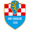 Vukovar 91 Logo