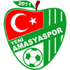 Amasyaspor FK Logo