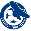 Ironi Nesher Logo