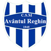 Avantul Reghin Logo