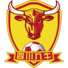 Shenzhen Xinpengcheng Logo