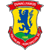 Dunaujvaros FC Logo