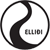 Ellidi Logo