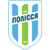 Polissya Zhytomyr Logo