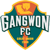 Gangwon FC Logo