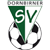 Dornbirner SV Logo