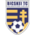 Bicskei TC Logo