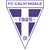Calvi Noale Logo