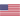 USA Logo
