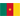 Cameroon Logo