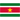 Suriname Logo